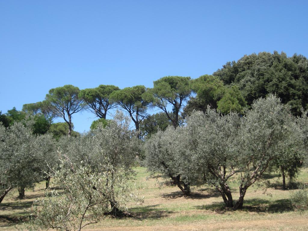 Tenuta Olmatello Quartolo Exterior photo