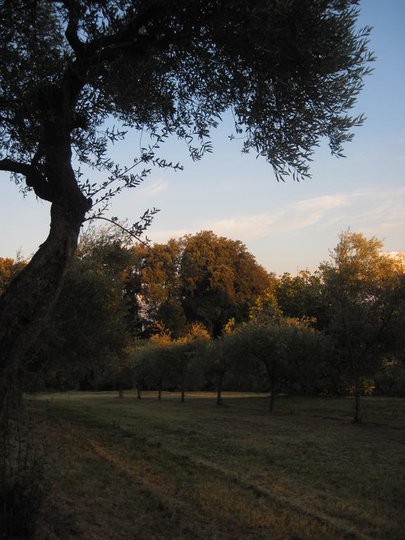 Tenuta Olmatello Quartolo Exterior photo