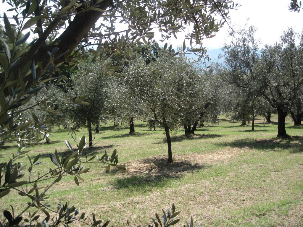 Tenuta Olmatello Quartolo Exterior photo