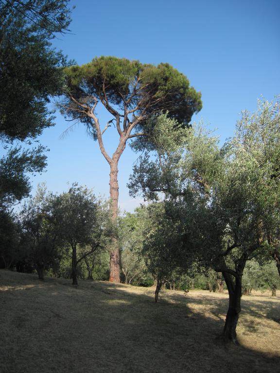 Tenuta Olmatello Quartolo Exterior photo